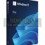 Download Windows 11 Pro 22H2 Full 64-bit ISO